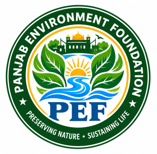 PANJAB ENVIRONMENT FOUNDATION